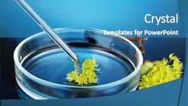  Presentation with petri dish - Presentation theme having chemical research in petri dish background and a  colored foreground