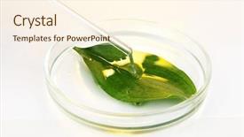  Presentation with petri dish - Presentation enhanced with chemical research in petri dish background and a cream colored foreground