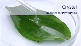  Presentation with petri dish - PPT layouts featuring chemical research in petri dish background and a sky blue colored foreground