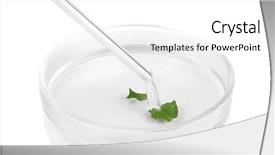  Presentation with petri dish - Presentation design featuring chemical research in petri dish background and a white colored foreground