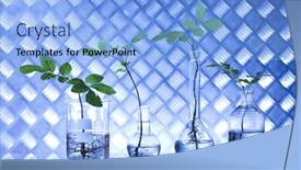  Presentation with laboratory equipment - Slides enhanced with chemistry equipment plants laboratory experimental background and a light blue colored foreground