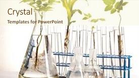  Presentation with laboratory equipment - Beautiful slides featuring chemistry equipment plants laboratory glassware backdrop and a  colored foreground