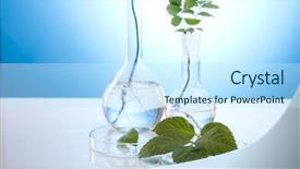  Presentation with laboratory equipment - PPT layouts consisting of chemistry equipment plants laboratory glassware background and a sky blue colored foreground