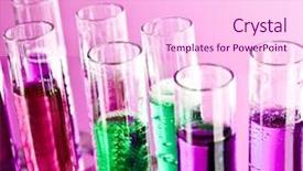  Presentation with pink gold - PPT layouts featuring chemistry gold - test tubes on pink background background and a pink colored foreground