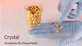  Presentation with tea leaves test tube - PPT theme featuring chemistry gold - groats in test tube background and a lemonade colored foreground