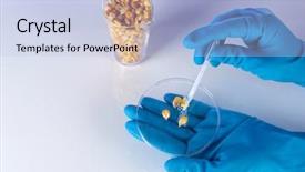  Presentation with test - PPT theme having chemistry gold - groats in test tube background and a light blue colored foreground