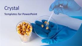  Presentation with test food - Slide deck enhanced with food laboratory - groats in test tube background and a lemonade colored foreground