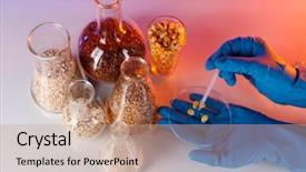  Presentation with test tubes - Presentation design with chemistry gold - groats in test tubes background and a coral colored foreground