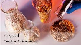  Presentation with test tubes - PPT theme featuring chemistry gold - groats in test tubes background and a coral colored foreground