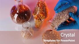  Presentation with tea leaves test tube - Beautiful presentation design featuring chemistry gold - groats in test tubes backdrop and a coral colored foreground