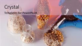  Presentation with test tubes - Colorful slide set enhanced with chemistry gold - groats in test tubes backdrop and a lemonade colored foreground