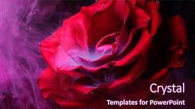  Presentation with chemistry nitrogen - Presentation design featuring chemistry nitrogen - smoke and a beautiful rose background and a wine colored foreground