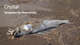  Presentation with lake fish - Slide deck enhanced with chernobyl disaster - dead fish betpak dala desert background and a gray colored foreground