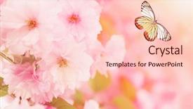  Presentation with free nature - Audience pleasing PPT theme consisting of cherries free - beautiful butterfly and flowers closeup backdrop and a lemonade colored foreground