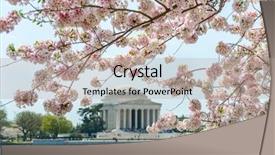 Presentation with thomas jefferson - Colorful presentation theme enhanced with cherry blossom festival in washington backdrop and a mint green colored foreground