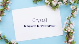  Presentation with cherry blossom - Colorful presentation design enhanced with cherry-blossom-greeing-card-over backdrop and a  colored foreground