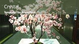  Presentation with cherry blossom - Beautiful presentation design featuring cherry-blossom-on-table backdrop and a tawny brown colored foreground