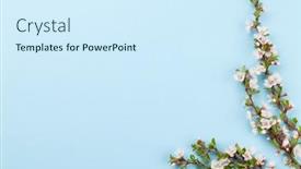  Presentation with cherry blossom - Cool new slide set with cherry-blossom-over-blue-background backdrop and a cool aqua colored foreground