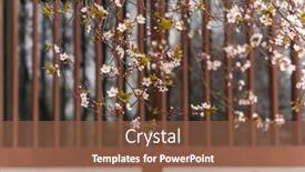  Presentation with cherry blossom - Beautiful slide set featuring cherry-blossom-with-traditional-chinese backdrop and a tawny brown colored foreground
