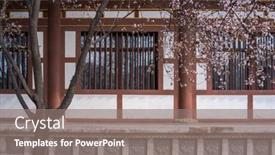  Presentation with cherry blossom - Cool new slide set with cherry-blossom-with-traditional-chinese backdrop and a gray colored foreground