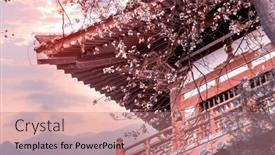  Presentation with cherry blossom - Presentation theme with cherry-blossom-with-traditional-chinese background and a coral colored foreground