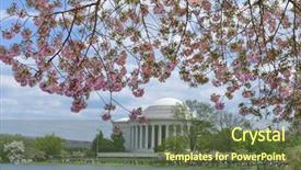  Presentation with gifs falling cherry blossoms - Amazing slides having cherry blossoms and jefferson memorial backdrop and a tawny brown colored foreground