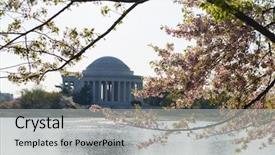  Presentation with memorial - Presentation design enhanced with cherry blossoms and jefferson memorial background and a light gray colored foreground