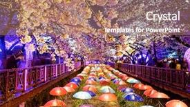  Presentation with japanese cherry blossoms - Colorful presentation theme enhanced with cherry blossoms at night busan backdrop and a coral colored foreground