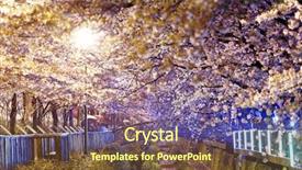  Presentation with city night - Presentation theme having cherry blossoms at night busan background and a tawny brown colored foreground