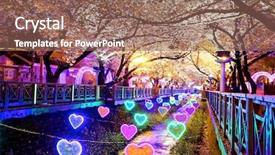  Presentation with japanese cherry blossoms - Presentation theme featuring cherry blossoms at night busan background and a violet colored foreground