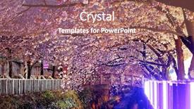  Presentation with city night - PPT theme featuring cherry blossoms at night busan background and a coral colored foreground