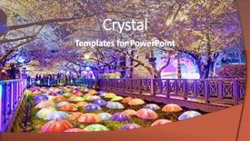  Presentation with cherry blossoms of tokyo - Slide set with cherry blossoms sakura at night background and a coral colored foreground