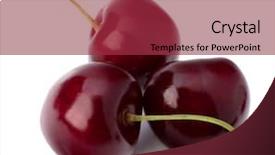  Presentation with cherry bloosom - PPT theme consisting of cherry isolated on white background background and a red colored foreground