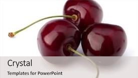 Presentation with cherry - Cool new PPT layouts with cherry isolated on white background backdrop and a light gray colored foreground