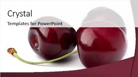  Presentation with history earth globe isolated white - Cool new presentation theme with cherry isolated on white background backdrop and a white colored foreground