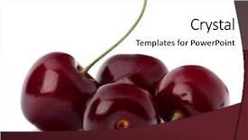  Presentation with cherry bloosom - Audience pleasing slides consisting of cherry isolated on white background backdrop and a  colored foreground