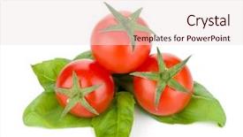  Presentation with cherry - Slide set with cherry tomatoes and basil leafs isolated on white background background and a sky blue colored foreground