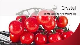  Presentation with plastic container - Slides enhanced with cherry tomatoes in the plastic container isolated on a white background background and a white colored foreground