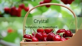  Presentation with orchard - PPT layouts with cherry tree - fresh red cherries background and a seafoam green colored foreground