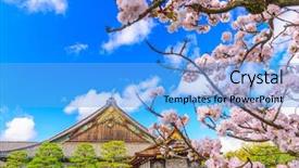  Presentation with kyoto - Presentation theme having cherry tree - kyoto japan at the ninomaru background and a light blue colored foreground