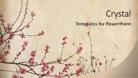  Presentation with cherry blossom - PPT theme featuring cherry tree - spring plum blossom blossom background and a lemonade colored foreground