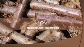  Presentation with wood log - Slides featuring cherry tree dried wood trunks background and a tawny brown colored foreground