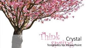  Presentation with cherry blossom - Cool new theme with cherry tree in full bloom backdrop and a white colored foreground