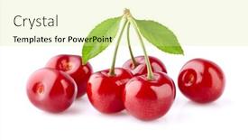  Presentation with cherry - Amazing presentation theme having cherry-with-leaves-on-white backdrop and a blonde colored foreground