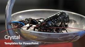  Presentation with alive - Slides featuring chesapeake bay - alive lobster being weighed background and a tawny brown colored foreground