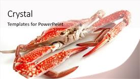  Presentation with crab - Cool new slide set with chesapeake bay - single sear orange crab backdrop and a white colored foreground