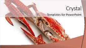  Presentation with crab - Presentation theme having chesapeake bay - single sear orange crab background and a sky blue colored foreground