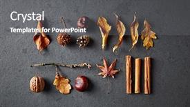  Presentation with natural elements - PPT layouts enhanced with chestnut - arrangement of natural fall elements background and a gray colored foreground