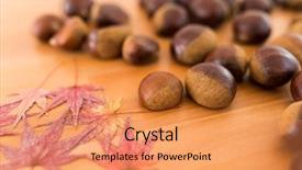  Presentation with maple leaves - Amazing presentation design having chestnut and dried maple leaves backdrop and a coral colored foreground