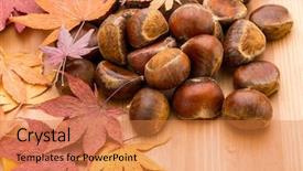  Presentation with maple - Slide deck featuring chestnut and maple on wooden background and a  colored foreground